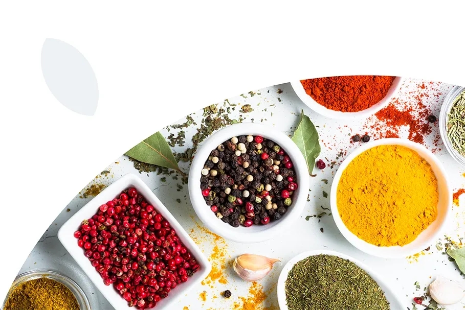 A featured image for this section.