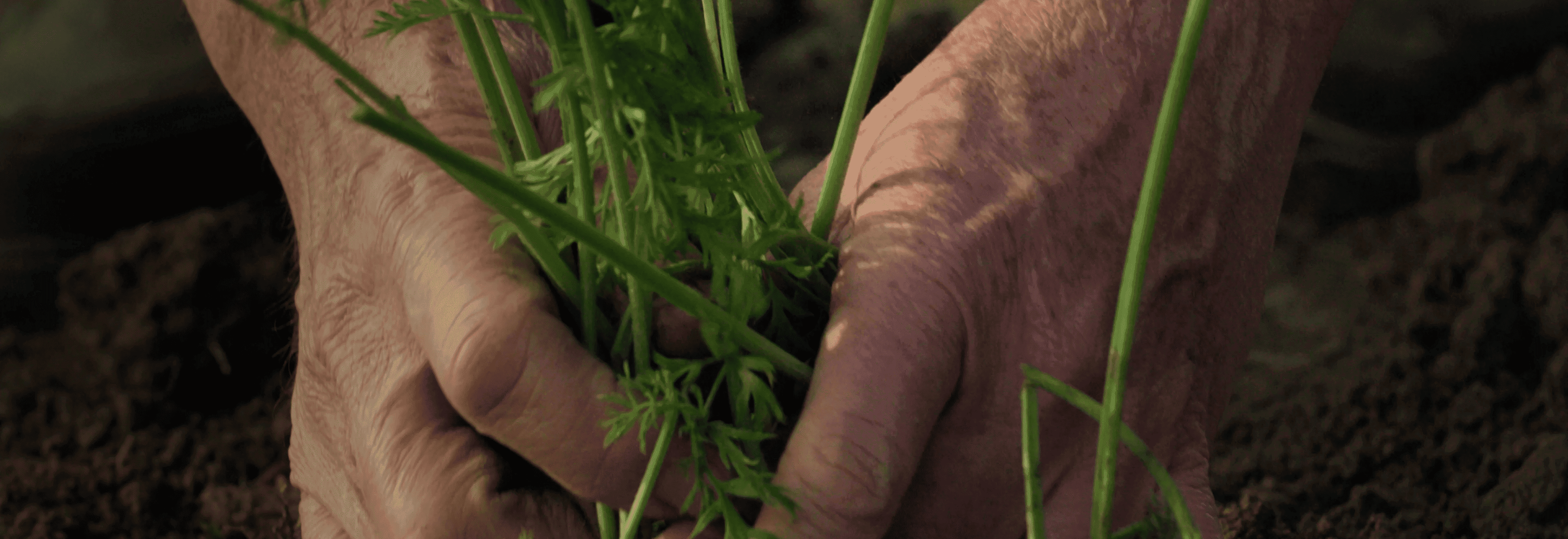 A featured image for this section.